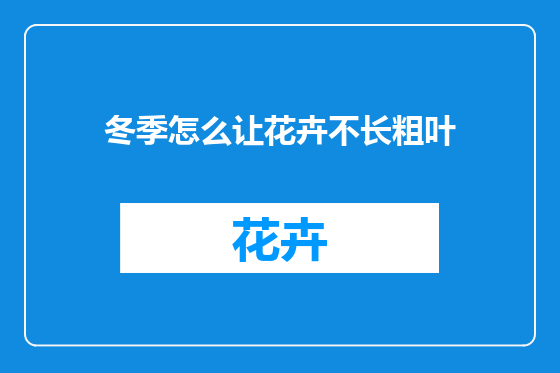 冬季怎么让花卉不长粗叶