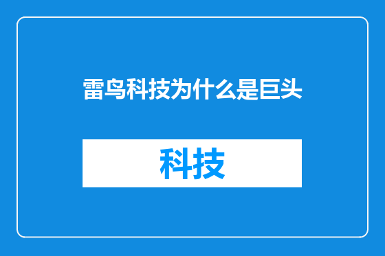 雷鸟科技为什么是巨头