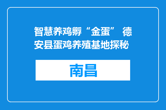 智慧养鸡孵“金蛋” 德安县蛋鸡养殖基地探秘