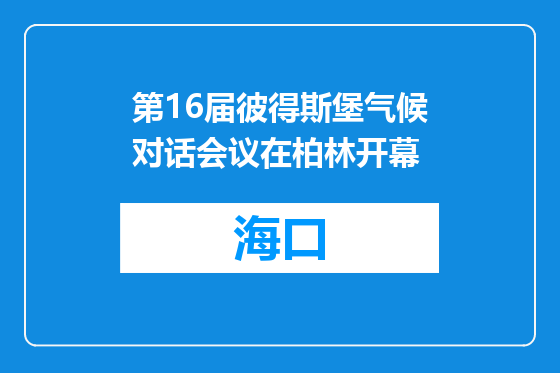 第16届彼得斯堡气候对话会议在柏林开幕