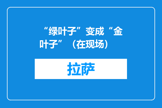 “绿叶子”变成“金叶子”（在现场）