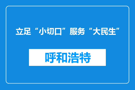 立足“小切口”服务“大民生”