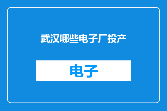 武汉哪些电子厂投产