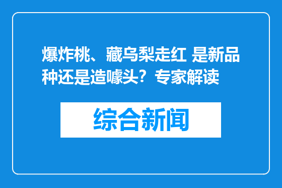 爆炸桃、藏乌梨走红 是新品种还是造噱头？专家解读