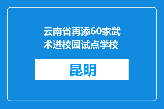 云南省再添60家武术进校园试点学校