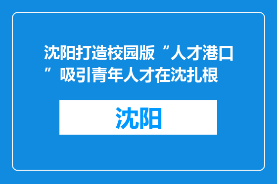 沈阳打造校园版“人才港口”吸引青年人才在沈扎根