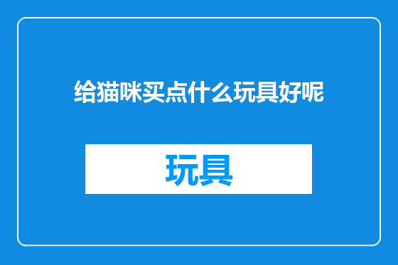 给猫咪买点什么玩具好呢