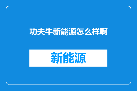 功夫牛新能源怎么样啊