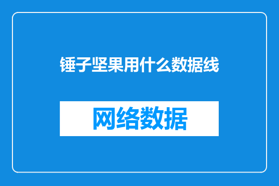 锤子坚果用什么数据线