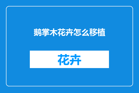 鹅掌木花卉怎么移植