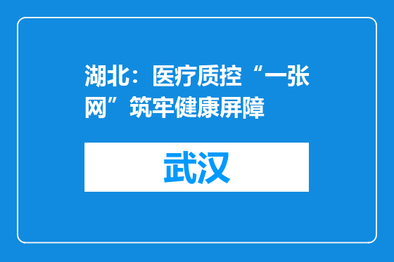 湖北：医疗质控“一张网”筑牢健康屏障