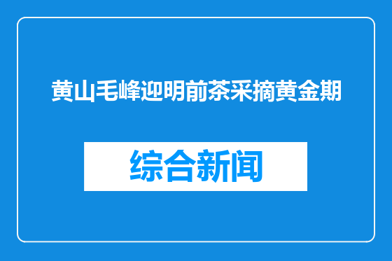 黄山毛峰迎明前茶采摘黄金期