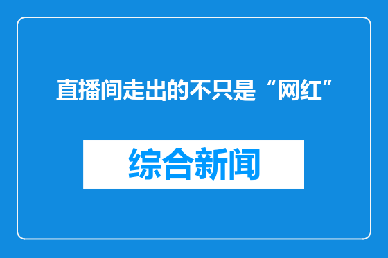 直播间走出的不只是“网红”