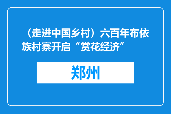 （走进中国乡村）六百年布依族村寨开启“赏花经济”