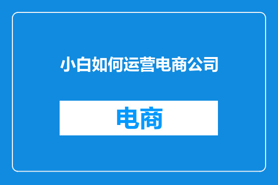 小白如何运营电商公司