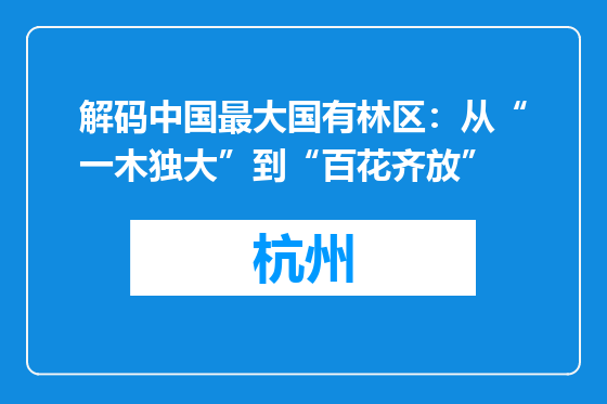 解码中国最大国有林区：从“一木独大”到“百花齐放”