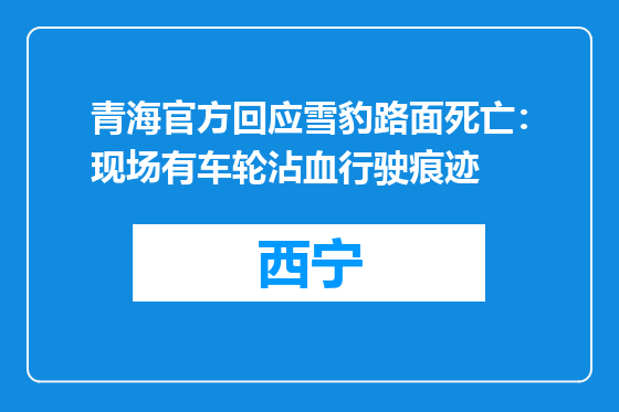 青海官方回应雪豹路面死亡：现场有车轮沾血行驶痕迹