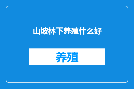 山坡林下养殖什么好