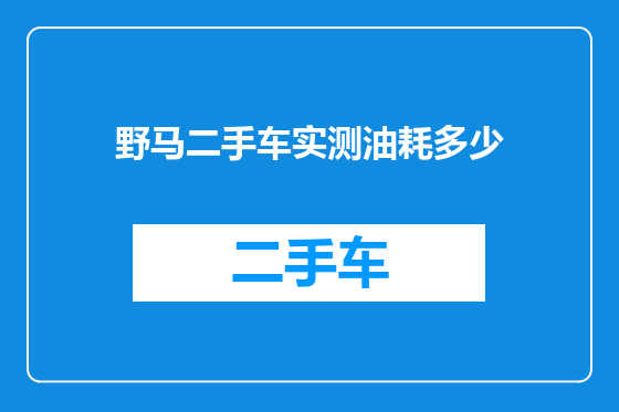野马二手车实测油耗多少