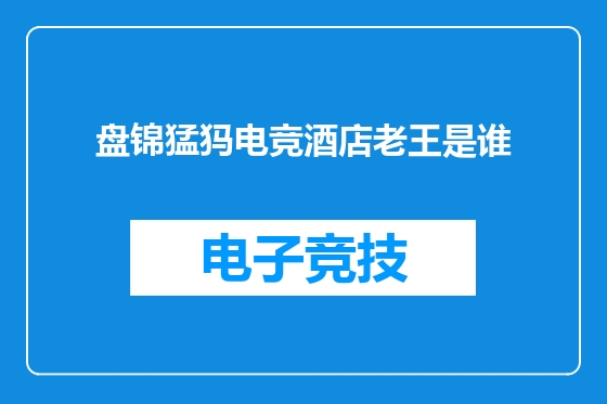盘锦猛犸电竞酒店老王是谁