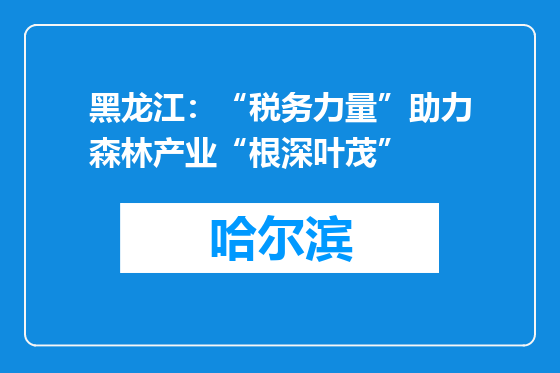 黑龙江：“税务力量”助力森林产业“根深叶茂”