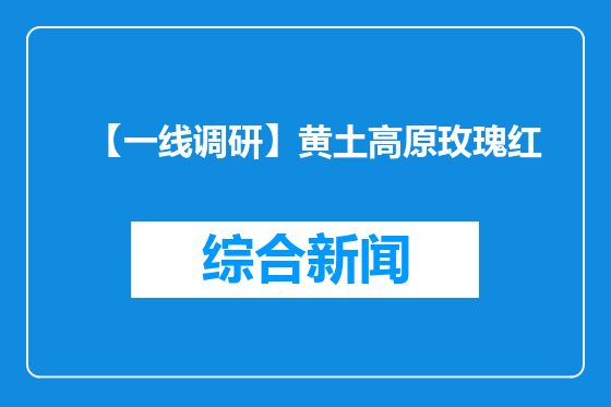 【一线调研】黄土高原玫瑰红