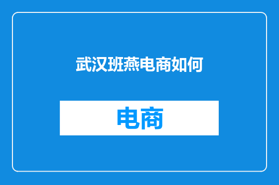 武汉班燕电商如何