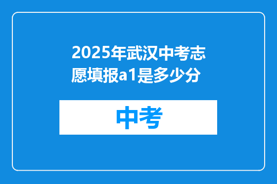 2025年武汉中考志愿填报a1是多少分