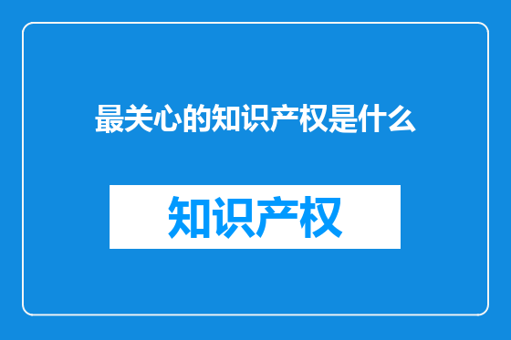 最关心的知识产权是什么