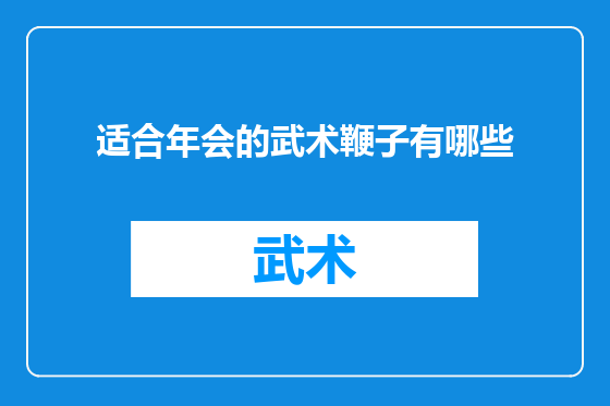 适合年会的武术鞭子有哪些