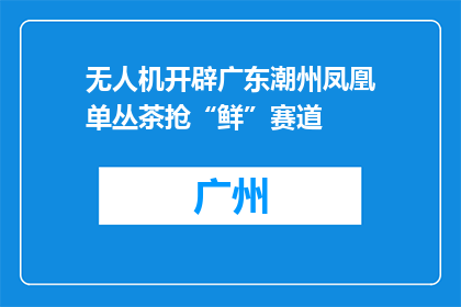 无人机开辟广东潮州凤凰单丛茶抢“鲜”赛道