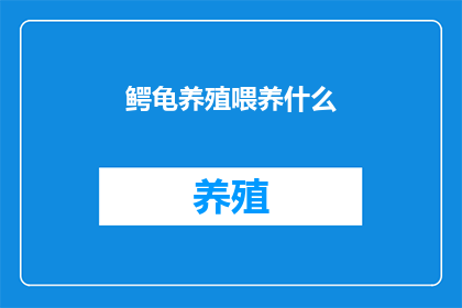 鳄龟养殖喂养什么