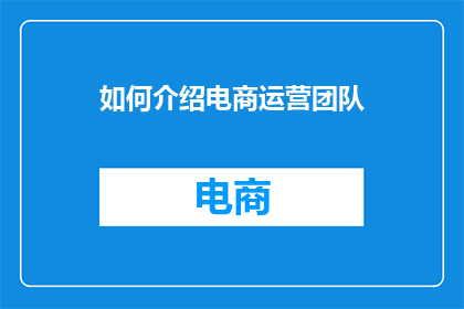 如何介绍电商运营团队