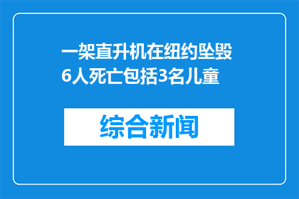 一架直升机在纽约坠毁 6人死亡包括3名儿童