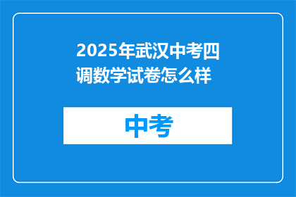 2025年武汉中考四调数学试卷怎么样