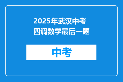 2025年武汉中考四调数学最后一题