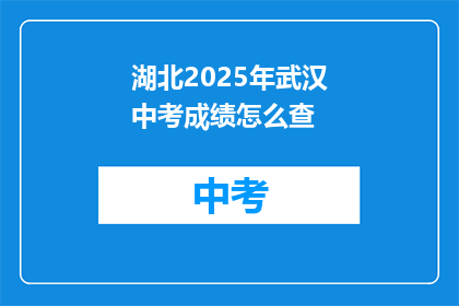 湖北2025年武汉中考成绩怎么查