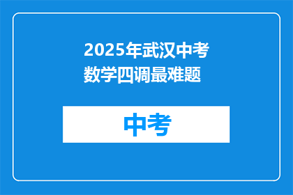 2025年武汉中考数学四调最难题