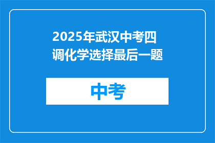 2025年武汉中考四调化学选择最后一题