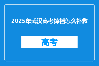 2025年武汉高考掉档怎么补救