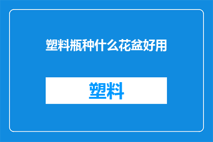 塑料瓶种什么花盆好用