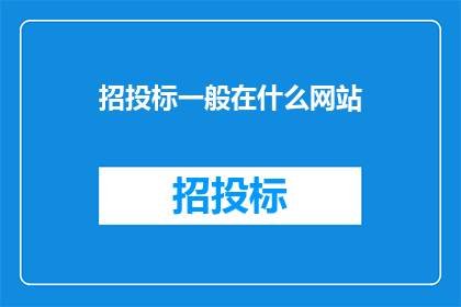 招投标一般在什么网站