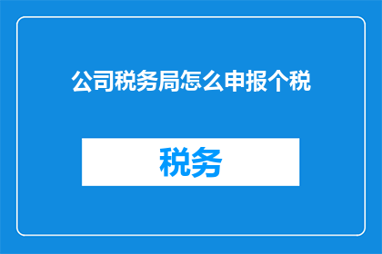 公司税务局怎么申报个税