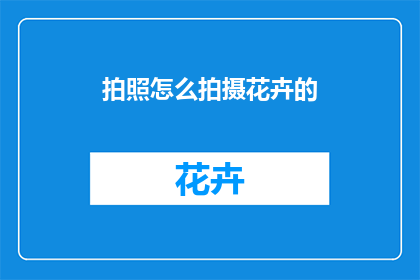 拍照怎么拍摄花卉的