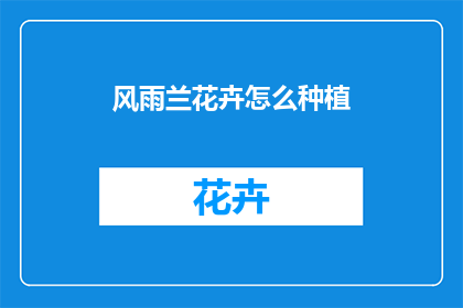 风雨兰花卉怎么种植