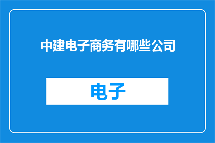 中建电子商务有哪些公司