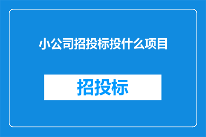 小公司招投标投什么项目