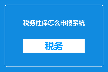 税务社保怎么申报系统