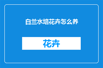 白兰水培花卉怎么养