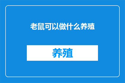 老鼠可以做什么养殖